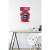 image:imageTrends International DreamWorks Trolls 2  Teaser Wall Poster 22375 x 34 Premium Unframed VersionWhite Framed Version