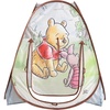 Winnie the Pooh