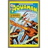 image:imageTrends International DC Comics  Aquaman  The Invasion of the FireTrolls Wall Poster 14725 x 22375 Barnwood Framed VersionBarnwood Framed Version