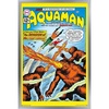 image:imageTrends International DC Comics  Aquaman  The Invasion of the FireTrolls Wall Poster 14725 x 22375 Barnwood Framed VersionSilver Framed Version
