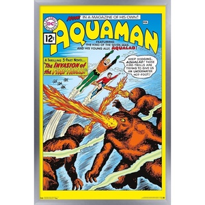 image:imageTrends International DC Comics  Aquaman  The Invasion of the FireTrolls Wall Poster 14725 x 22375 Barnwood Framed VersionSilver Framed Version