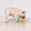 image:imageToys for Dogs  9 Inch Plush Dog Toy with Green Hair and Purple Body  Dog Toy with Squeaker  Plush Fabric Soft Medium Squeaky Dog Toy from TrollsBlueGreen Hair