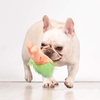 image:imageToys for Dogs  9 Inch Plush Dog Toy with Green Hair and Purple Body  Dog Toy with Squeaker  Plush Fabric Soft Medium Squeaky Dog Toy from TrollsBlueGreen Hair