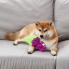 image:imageToys for Dogs  9 Inch Plush Dog Toy with Green Hair and Purple Body  Dog Toy with Squeaker  Plush Fabric Soft Medium Squeaky Dog Toy from TrollsPurple BodyGreen Hair
