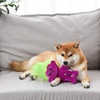 image:imageToys for Dogs  9 Inch Plush Dog Toy with Green Hair and Purple Body  Dog Toy with Squeaker  Plush Fabric Soft Medium Squeaky Dog Toy from TrollsPurple BodyGreen Hair