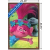 image:imageTrends International DreamWorks Trolls  Fun Wall Poster 14725 x 22375 Silver Framed VersionMahogany Framed Version