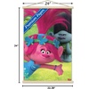 image:imageTrends International DreamWorks Trolls  Fun Wall Poster 14725 x 22375 Silver Framed VersionPremium Print and Beechwood Hanger Bundle