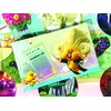 image:imageDreamWorks Trolls World Tour My Busy Books English and French Edition